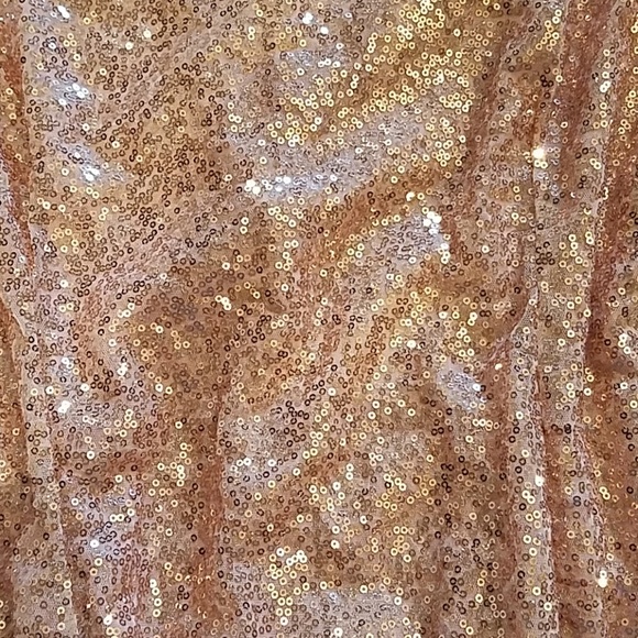 🆕 🔴SOLD OUT🔴Rose Gold Sequin Bodysuit - Picture 3 of 7